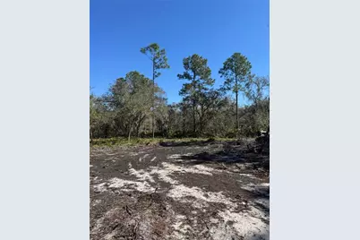 South Shore Dr, Lake Wales, FL 33898 - Photo 9