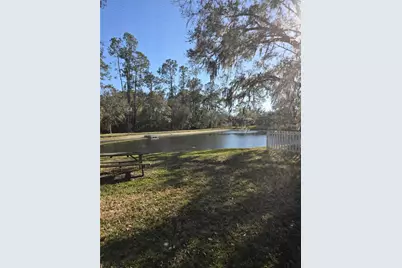 35138 Meadow Reach Drive, Zephyrhills, FL 33541 - Photo 11