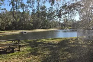 35138 Meadow Reach Dr, Zephyrhills, FL 33541 - Photo 11