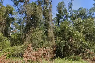 Tbd NW Suwannee Valley Rd, Lake City, FL 32055 - Photo 1