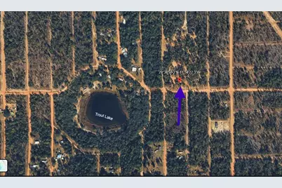 1404 Twin Lakes Blvd, Interlachen, FL 32148 - Photo 5