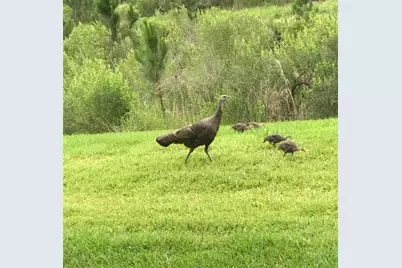 314 Scripps Ranch Road, Poinciana, FL 34759 - Photo 45