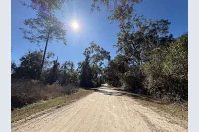 Ne Seventeenth Avenue, Trenton, FL 32693 - Photo 3