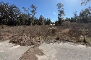 NE Seventeenth Ave, Trenton, FL 32693 - Photo 1