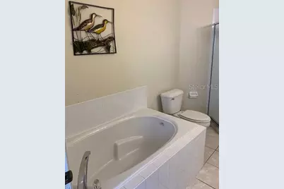 16644 Fresh Meadow Drive, Clermont, FL 34714 - Photo 19