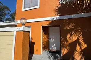 65 Silver Falls Cir, Kissimmee, FL 34743 - Photo 1