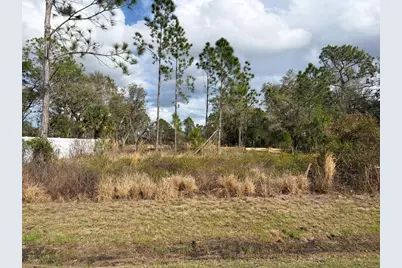 202 Spoonbill Drive, Poinciana, FL 34759 - Photo 1