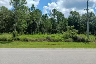 202 Spoonbill Dr, Poinciana, FL 34759 - Photo 1