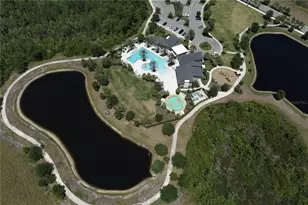 17804 Passionflower Cir, Clermont, FL 34714 - Photo 45