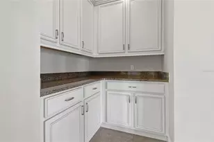 1191 Terralago Way, Kissimmee, FL 34746 - Photo 53