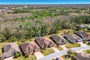 531 Via Vitale Ct, Kissimmee, FL 34759 - Photo 61