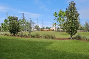 8995 Croquet Ct, Davenport, FL 33896 - Photo 53