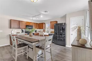 313 W Aster Ct, Kissimmee, FL 34759 - Photo 9