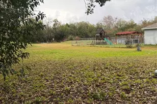 310 Grape Ave, Saint Cloud, FL 34769 - Photo 3