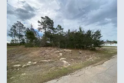 174 Maple Drive, Poinciana, FL 34759 - Photo 3