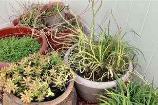 1812 Atrium Dr, Sun City Center, FL 33573 - Photo 21