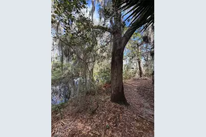 14535 Caplock Drive, Orlando, FL 32837 - Photo 67