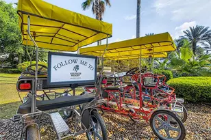 1153 Grand Traverse Pkwy, Reunion, FL 34747 - Photo 45