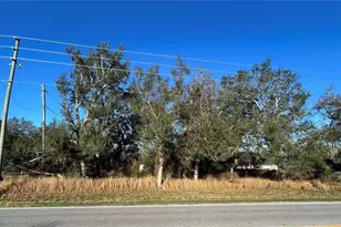 2700 W Findley Rd, Avon Park, FL 33825 - Photo 1