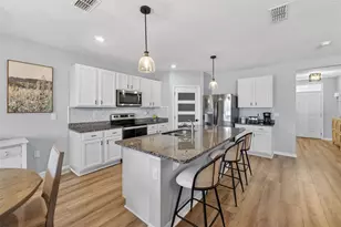 4893 Panga Ave, Mount Dora, FL 32757 - Photo 3