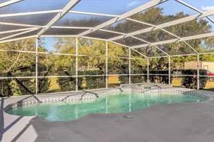 3808 Mohawk Dr, Mount Dora, FL 32757 - Photo 21