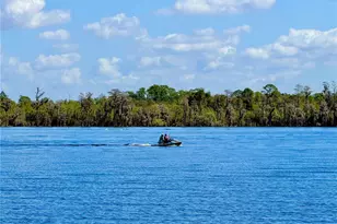 13415 Blue Heron Beach Dr, Orlando, FL 32821 - Photo 3