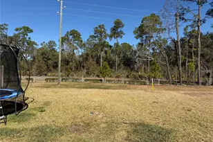 4234 Bridle Booster Wy, Lakeland, FL 33801 - Photo 15