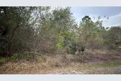336 Pershing Avenue, Lake Placid, FL 33852 - Photo 3