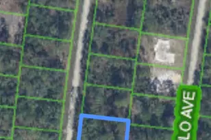 5639 San Juan Dr, Sebring, FL 33872 - Photo 3