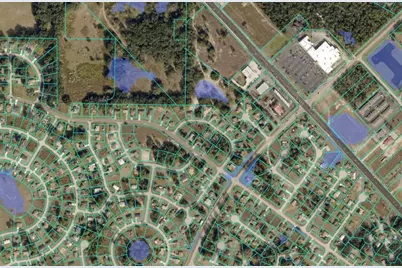 Pine Trace Loop, Ocala, FL 34472 - Photo 3