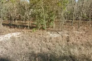 NE 149th Ct, Williston, FL 32696 - Photo 1