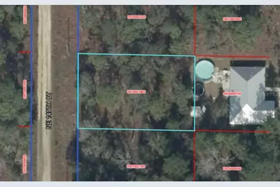 Ne 149th Ct, Williston, FL 32696 - Photo 3