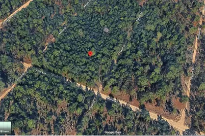 1802 Fern Avenue, Interlachen, FL 32148 - Photo 5