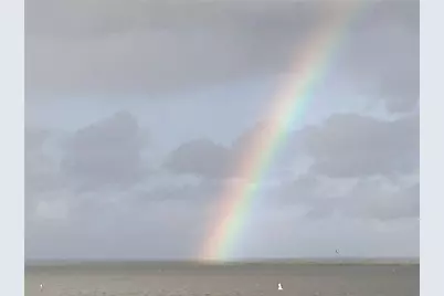 6009 Sea Ranch Drive #707, Hudson, FL 34667 - Photo 43