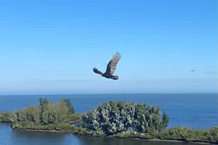 6009 Sea Ranch Dr, Hudson, FL 34667 - Photo 37