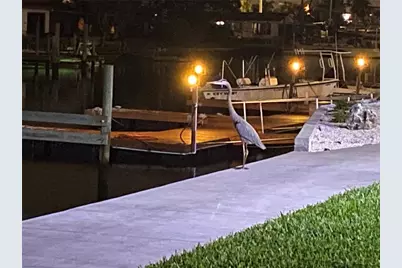 6009 Sea Ranch Drive #707, Hudson, FL 34667 - Photo 45