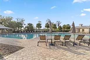 8476 Iron Mountain Trail, Windermere, FL 34786 - Photo 7