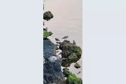 6035 Sea Ranch Drive #204, Hudson, FL 34667 - Photo 63