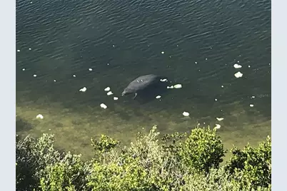 6035 Sea Ranch Drive #204, Hudson, FL 34667 - Photo 65