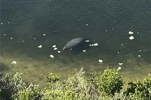 6035 Sea Ranch Dr, Hudson, FL 34667 - Photo 65