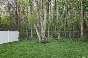 3543 Bristlecone Ct, Kissimmee, FL 34746 - Photo 17