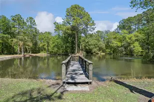 8501 Natures Hammock Trl, Kissimmee, FL 34747 - Photo 67