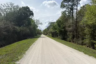 4801 E Laflam Rd, Avon Park, FL 33825 - Photo 5