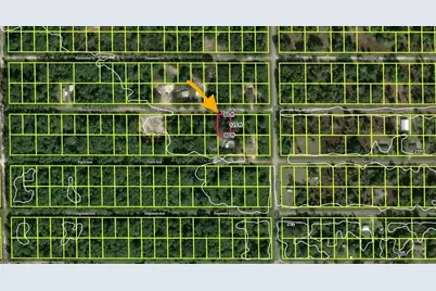 433 Gardenia Avenue, Georgetown, FL 32139 - Photo 5