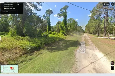 433 Gardenia Avenue, Georgetown, FL 32139 - Photo 7