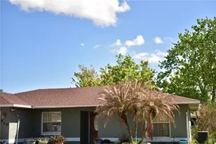 910 Louvre Ct, Kissimmee, FL 34759 - Photo 3