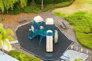 14215 Desert Haven St, Windermere, FL 34786 - Photo 29