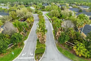 14215 Desert Haven St, Windermere, FL 34786 - Photo 27