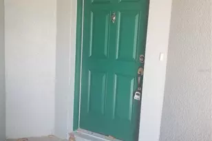 9377 Jasmine Flower Ln, Orlando, FL 32832 - Photo 3