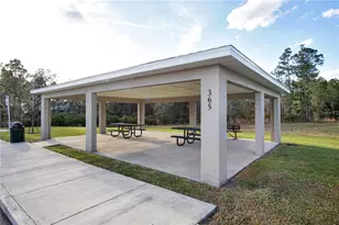 1419 Eucalyptus Wy, Davenport, FL 33837 - Photo 45